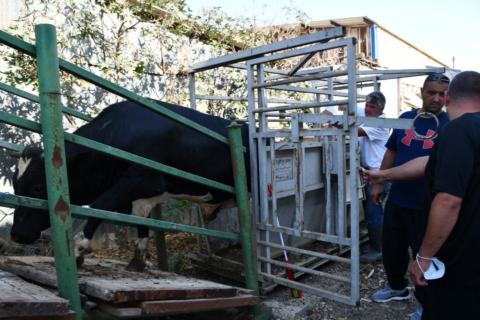 WhatsApp Image 2020-07-30 at 4.34.25 PM.jpeg.jpeg